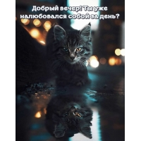 Добрый вечер! Ты уже налюбовался собой за день?