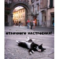 Отличного настроения!