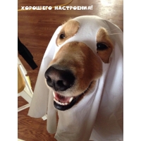 Хорошего настроения!
