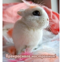 Прекрасного настроения!