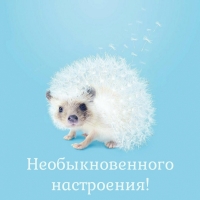 Необыкновенного настроения!