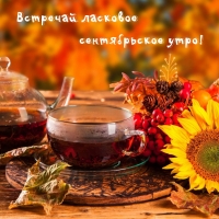 Встречай ласковое сентябрьское утро!