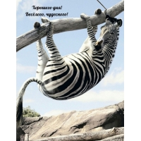 Хорошего дня! Весёлого, чудесного!