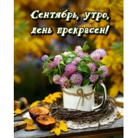 Сентябрь, утро, день прекрасен!