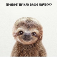 Привет! Ну как ваше ничего?