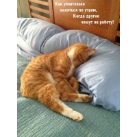 Как упоительно валяться по утрам, когда другие чешут на работу!