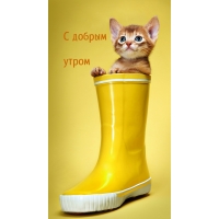 С добрым утром