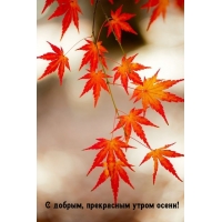 С добрым, прекрасным утром осени!