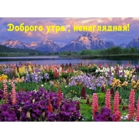 Доброго утра , ненаглядная!