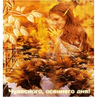 Чудесного, осеннего дня!