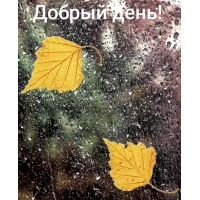 Добрый день!