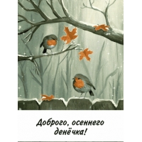 Доброго, осеннего денёчка!