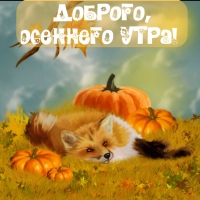 Доброго, осеннего утра!