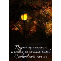 Пусть приснятся только хорошие сны! Спокойной ночи!