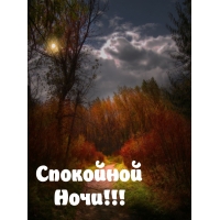 Спокойной Ночи!