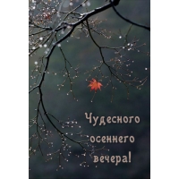 Чудесного осеннего вечера!