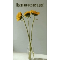 Приятного осеннего дня!