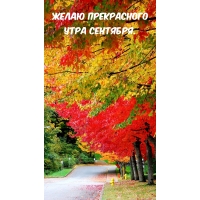 Желаю прекрасного утра сентября.
