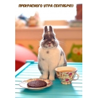 Прекрасного утра сентября))