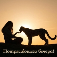 Потрясающего вечера!