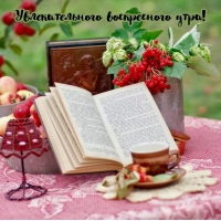 Увлекательного воскресного утра!