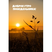 Доброе утро понедельника!