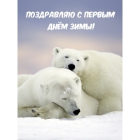 Поздравляю с первым днём зимы!