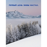 Первый день зимы настал.
