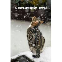 С первым днём зимы!