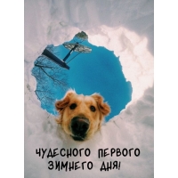 Чудесного первого зимнего дня!