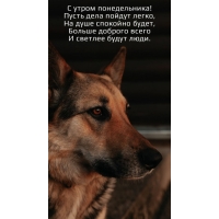 С утром понедельника! Пусть дела пойдут легко