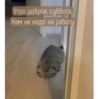 Утро доброе, суббота, нам не надо на работу