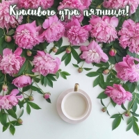 Красивого утра пятницы!