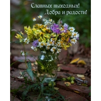 Славных выходных! Добра и радости!