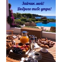 Зайчик мой! Доброго тебе утра!