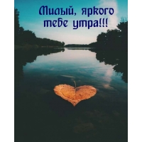 Милый, яркого тебе утра!