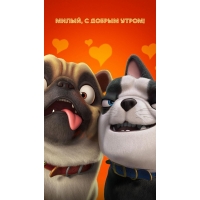 Милый, с добрым утром!