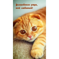 Волшебного утра, мой любимый!