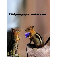 С добрым утром, мой нежный.