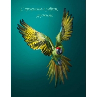 С прекрасным утром, дружище.