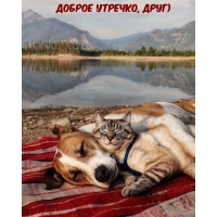 Доброе утречко, друг)