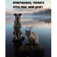Прекрасного, теплого утра тебе, мой друг)