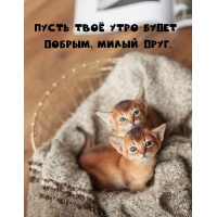 Пусть твоё утро будет добрым, милый друг.
