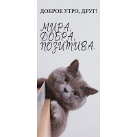ДОБРОЕ УТРО, ДРУГ! МИРА, ДОБРА, ПОЗИТИВА.