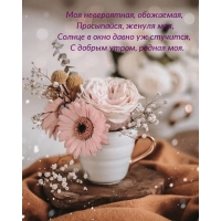 Просыпайся, женуля моя