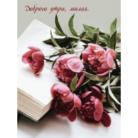 Доброго утра, милая.