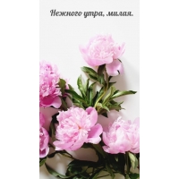 Нежного утра, милая.