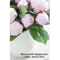 Желаю тебе прекрасного утра, милая моя)
