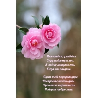 Просыпайся, улыбайся утру доброму и мне.