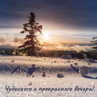 Чудесного и прекрасного вечера!